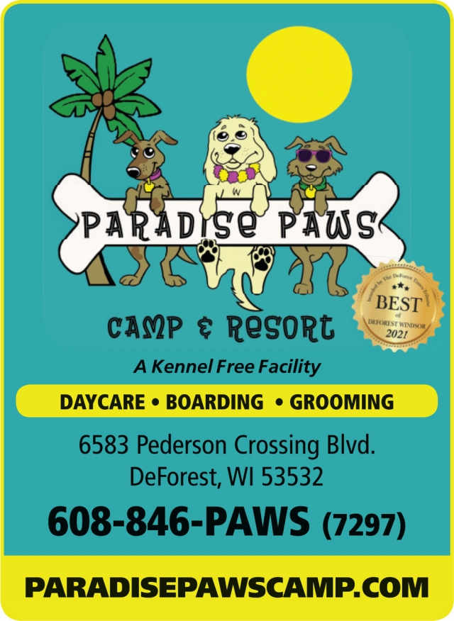 A Kennel Free Facility, Paradise Paws Camp & Resort, Deforest, WI