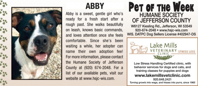 Pet of The Week, Lake Mills Veterinary Clinic, Lake Mills, WI