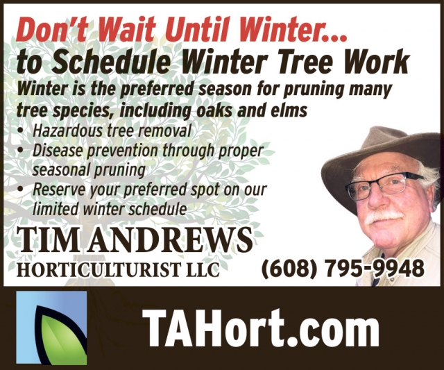 Hazardous Tree Removal, Tim Andrews Horticulturist LLC, Mazomanie, WI