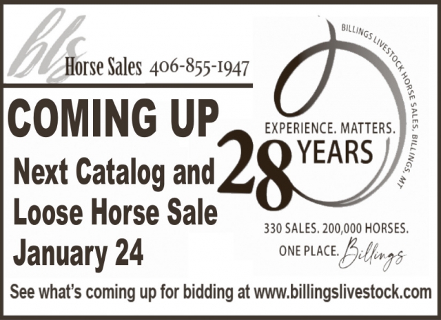 Horse Sales, Billings Livestock Commission, Billings, MT
