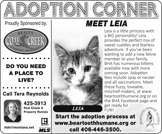 Adoption Corner, Tera Reynolds - Coal Creek Realty & Property Management